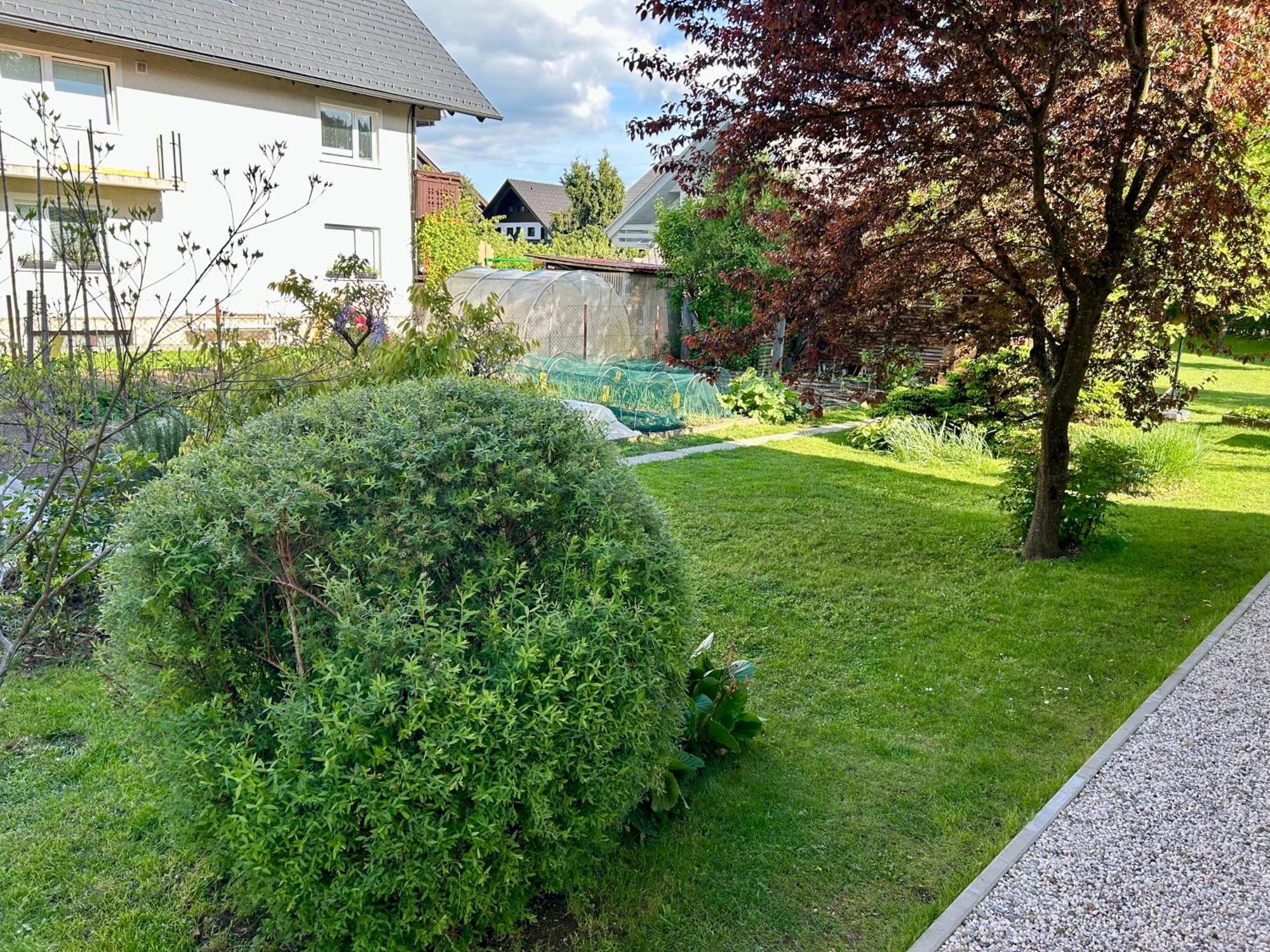 Apartment Gallus Bled Exterior photo